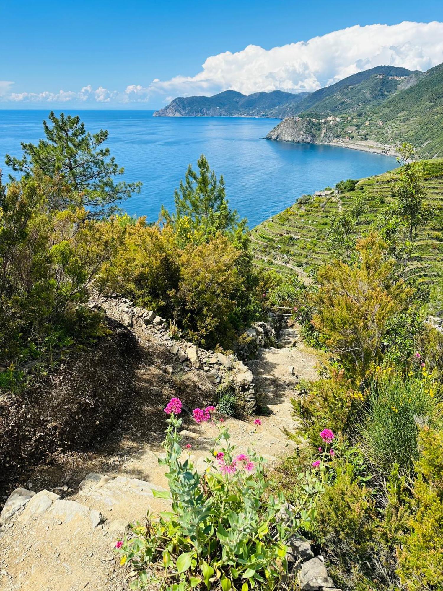 Al Castello Apartment Riomaggiore Luaran gambar